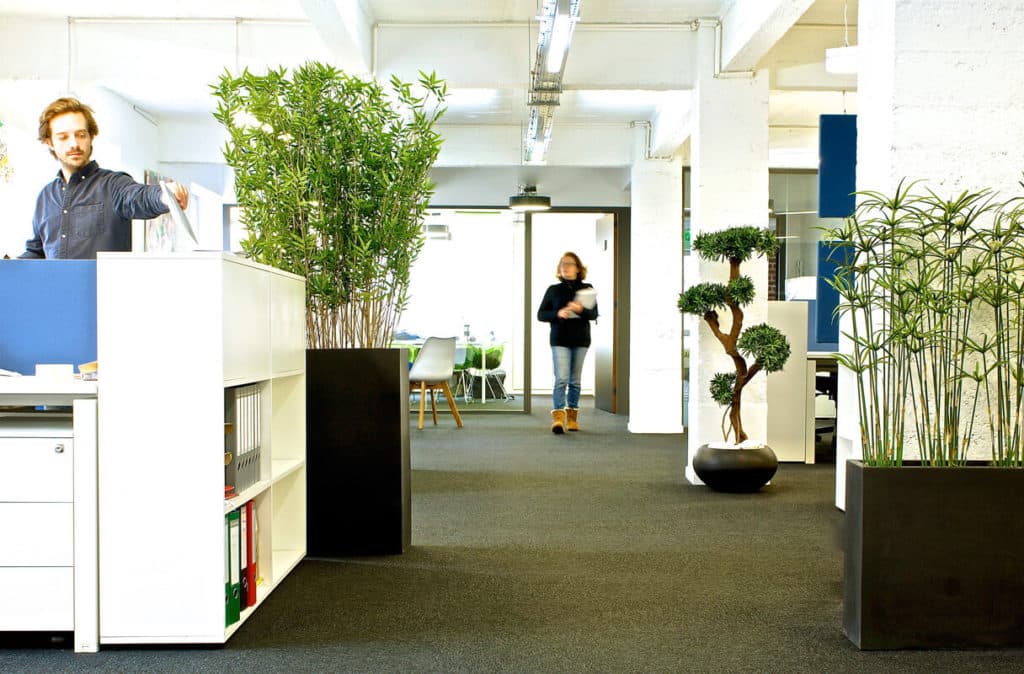 ensemble de plantes de bureau