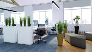 bureau avec plantes hauteurs et sols