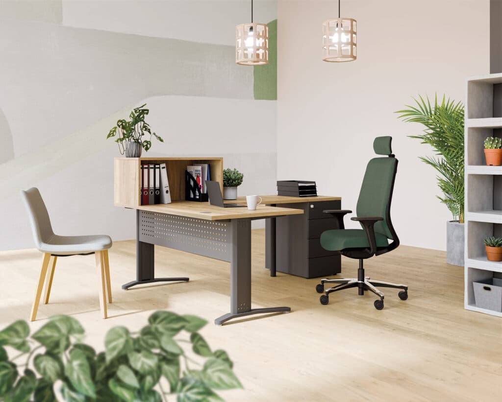 Bureau Professionnel avec caisson de rangement
