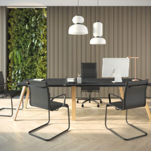 Fauteuil Elite