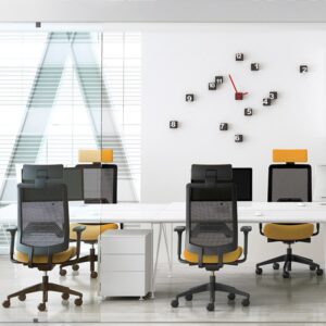 Fauteuil Wi Max Ergo
