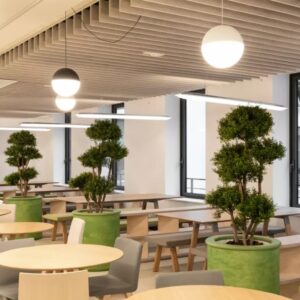 Plafond Acoustique Chicago